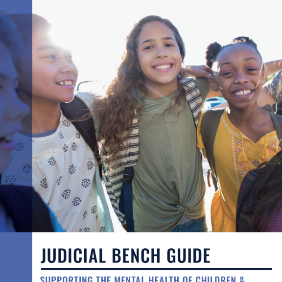 Report cover with title: Judicial Bench Guide